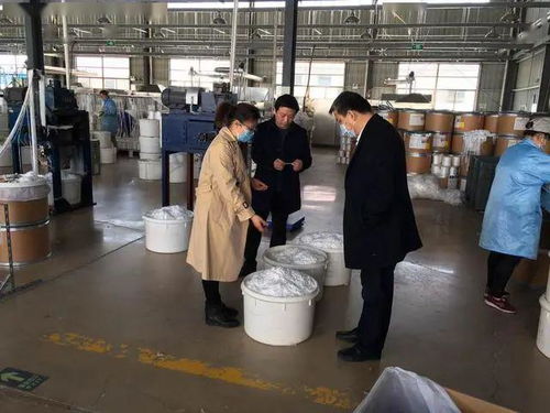 人大代表助力企業疫路小跑，板湖鎮技術交流促發展